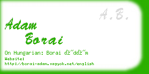 adam borai business card